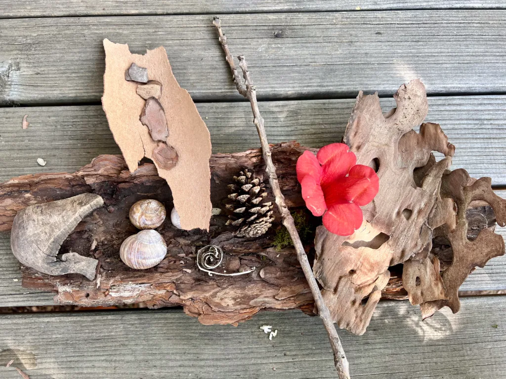 Ein naturinspiriertes Arrangement mit Rinde, Schneckenhäusern, einem Tannenzapfen, einer roten Blume und anderen natürlichen Elementen, sorgfältig auf einem Holztisch präsentiert.