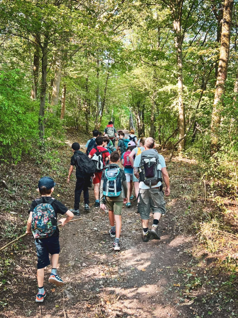 Eine Gruppe von Kindern und Betreuern wandert mit Rucksäcken auf einem Waldweg, umgeben von üppigem, grünem Laub und strahlendem Sonnenschein.