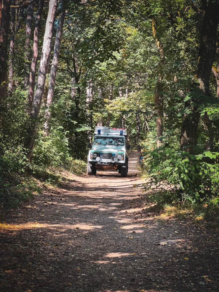 Ein Geländewagen der Bergrettung fährt einen Waldweg entlang, umgeben von hohen Bäumen und dichtem Grün, unter strahlendem Sonnenschein.