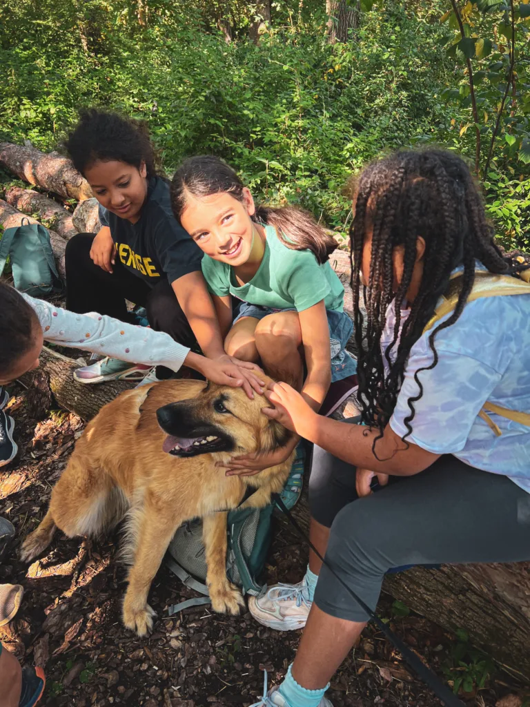Eine Gruppe von Kindern sitzt im Wald und streichelt einen freundlichen Hund, der entspannt auf dem Boden liegt.