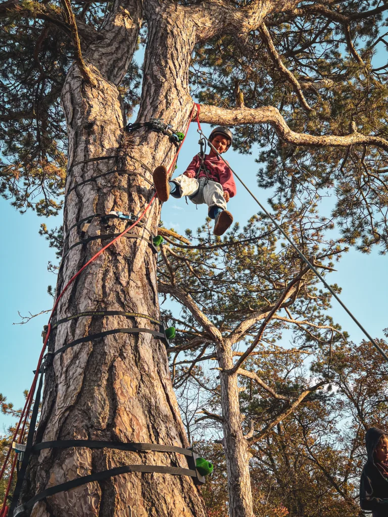 Ein Kind mit Helm und Kletterausrüstung hängt an einem Seil an einem hohen Baum, ausgestattet mit Griffen, und lächelt in die Kamera.